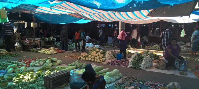 Vanua Levu nach Viti Levu 22.07. – 26.07.2016 Vanua Levu nach Viti Levu 22.07. – 26.07.2016