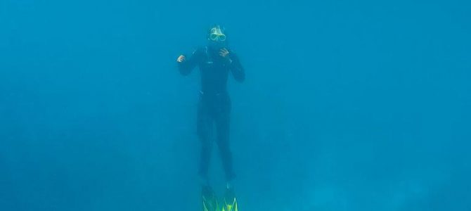 Blue Lagoon, Manta Ray und die Castaway-Insel 30.08. – 07.09.2016