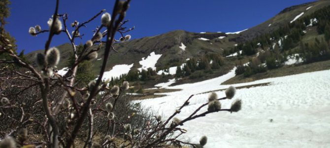 Cumbres Pass bis Pagosa Springs  10.06. – 15.06.2017