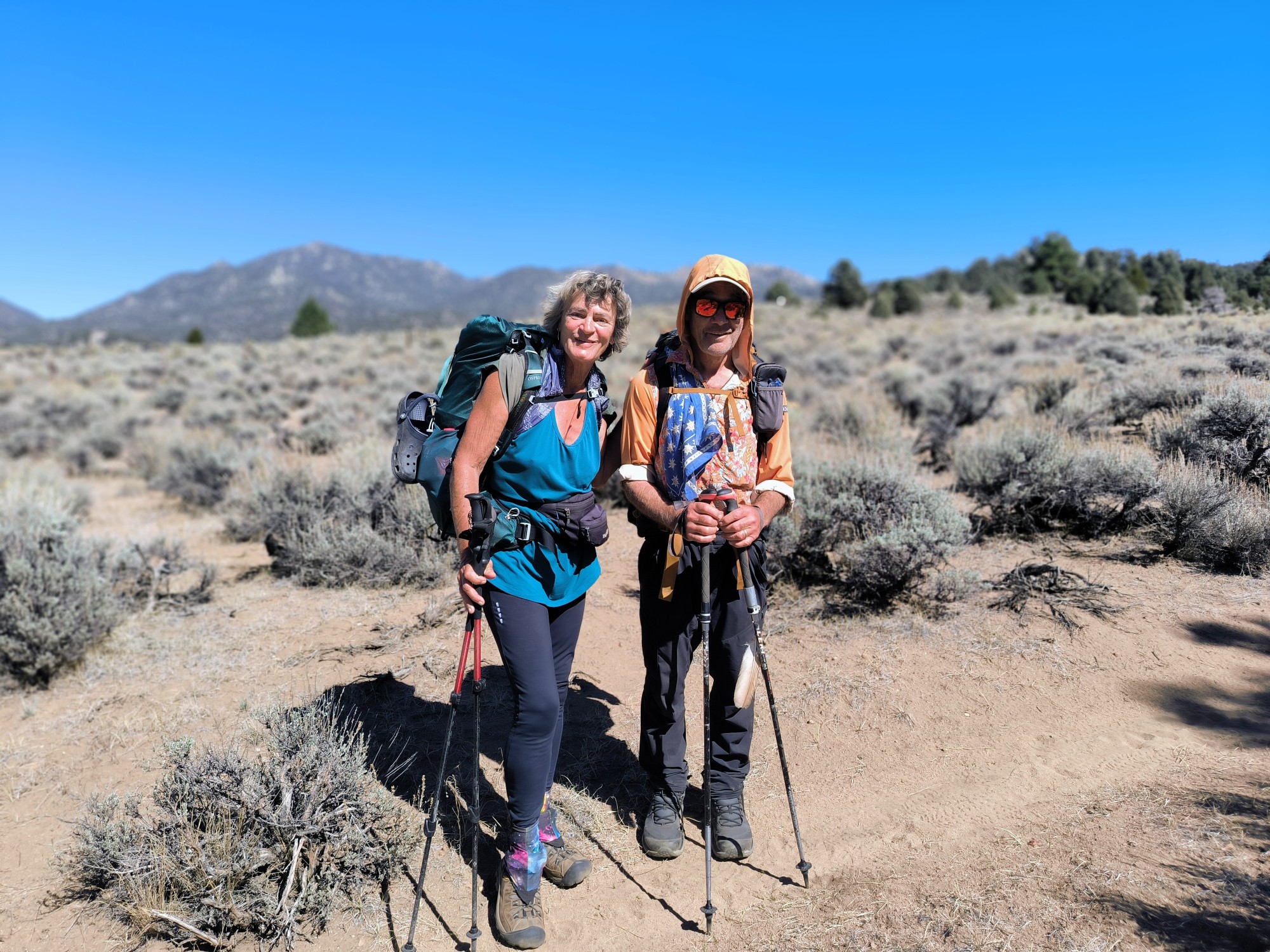 Cottonwood Pass bis Walker Pass / Ridgecrest
