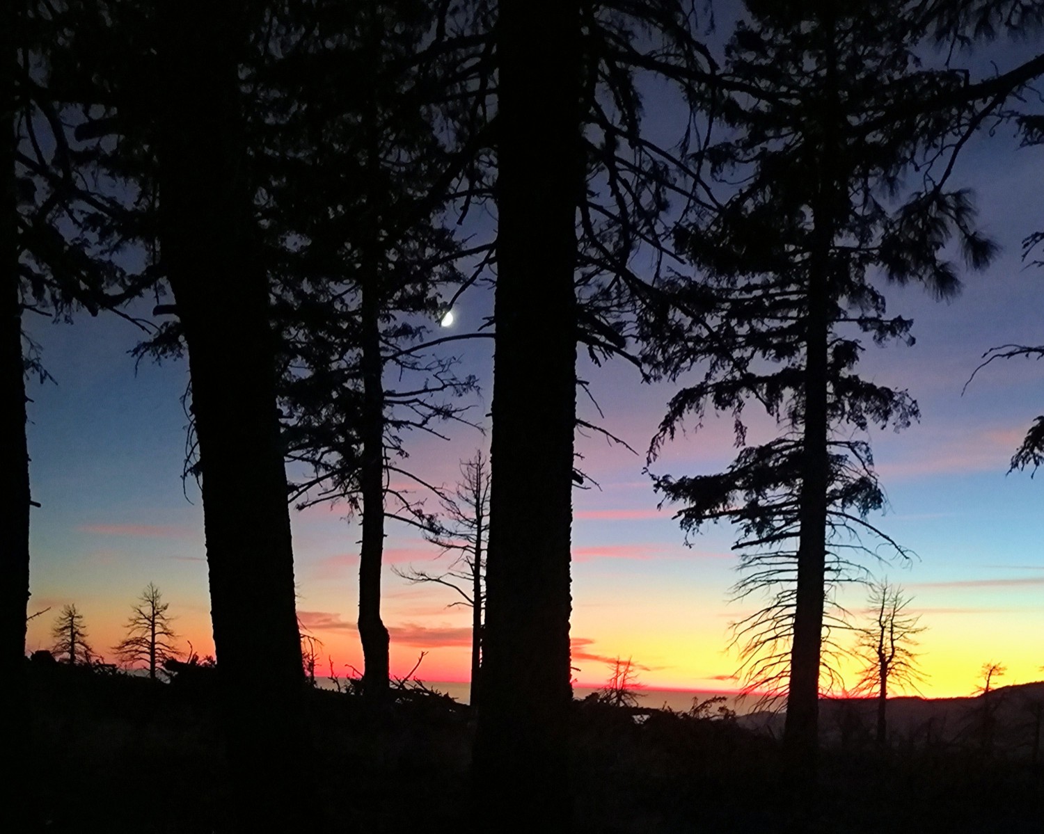 Hikertown bis Wrightwood Hikertown bis Wrightwood